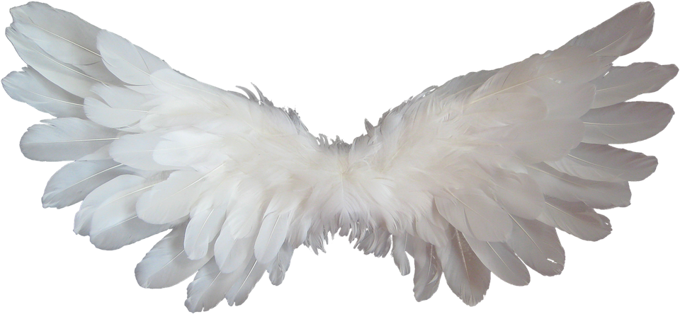 white-1184178_960_720