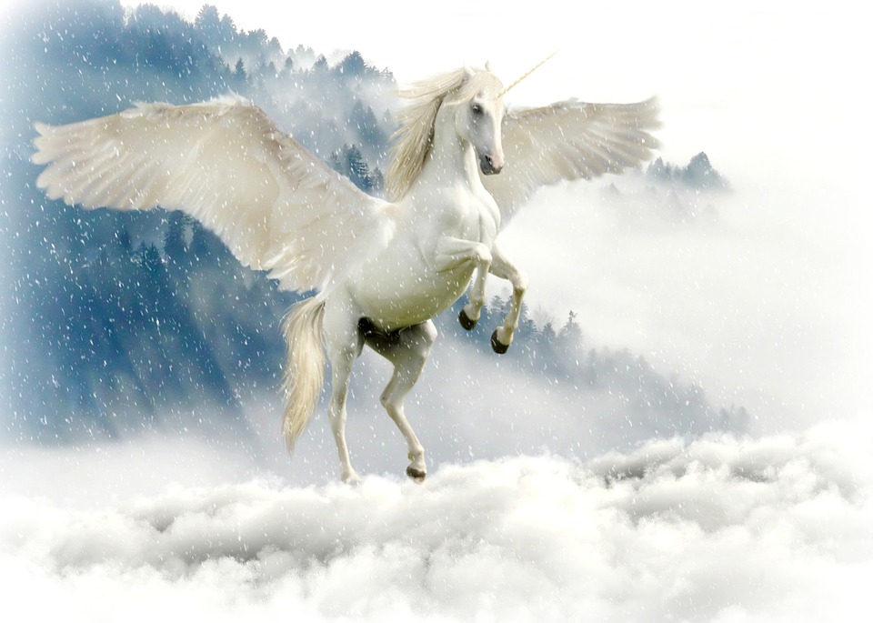 unicorn-2875349_960_720