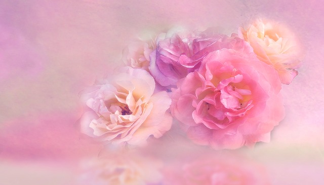 flower-3054806_640