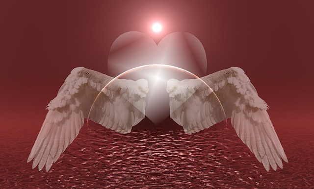 heart-669554_640-2