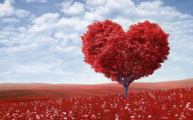 tree-heart-red