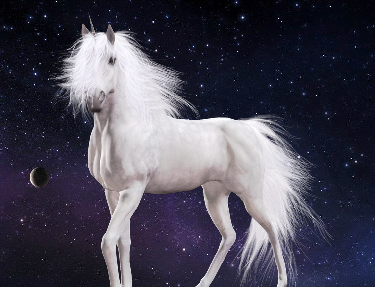 unicorn walking horse