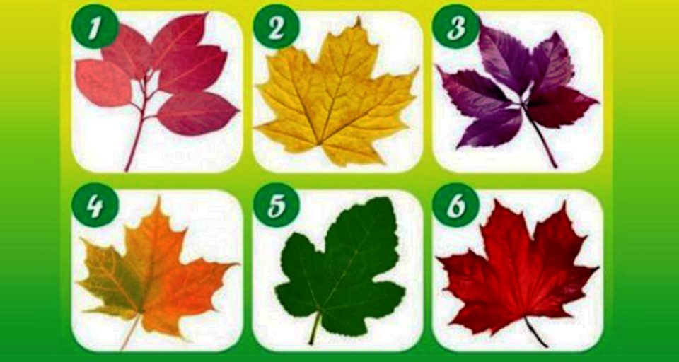 leaf-test-1