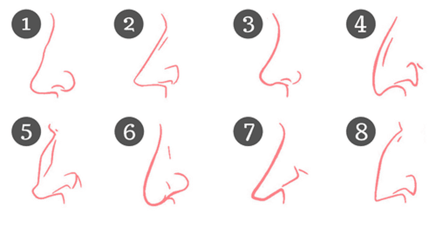 nose-test-1