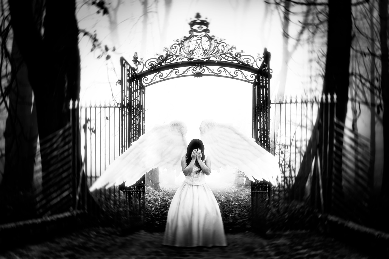 Flight-Paradise-Angel-Gate-1359143-1