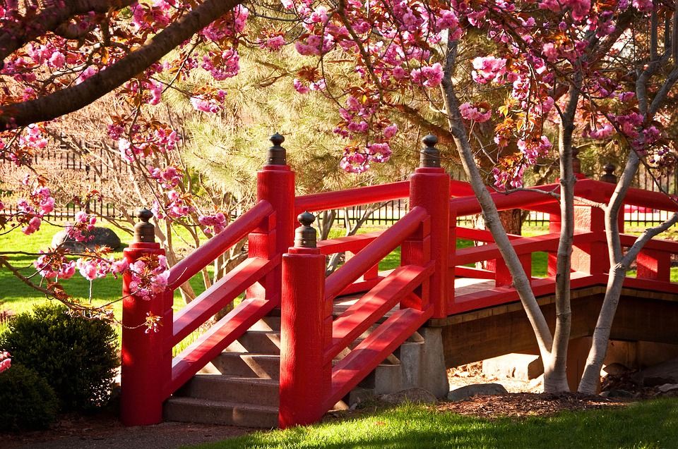 bridge-flowers--japon-1