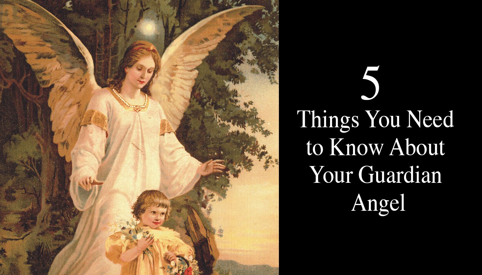 5-Things-You-Need-to-Know-About-Your-Guardian-Angel-2