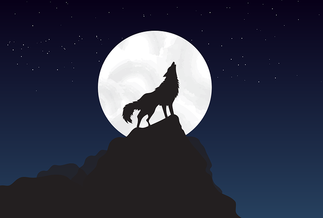 wolf-howling-at-full-moon