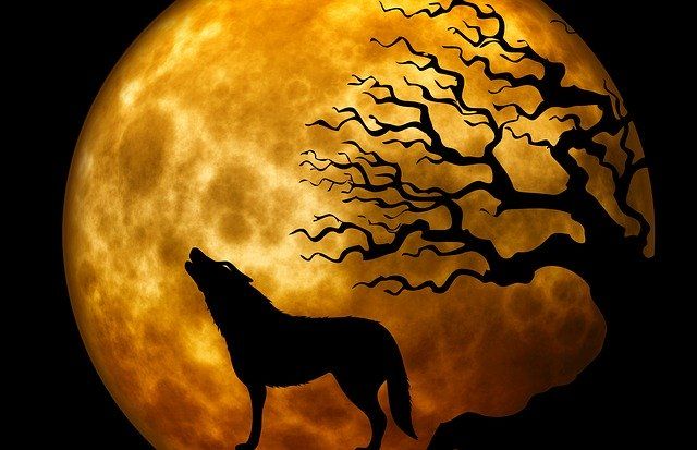 wolf-howling-at-moon-near-a-tree-at-nightjpg