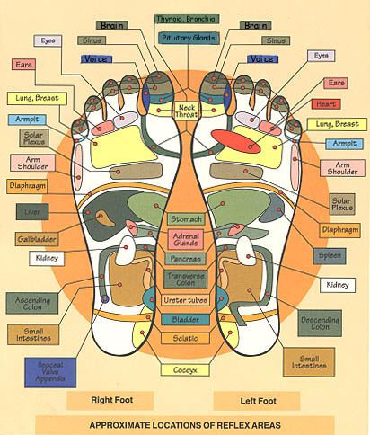 reflexology-foot-map