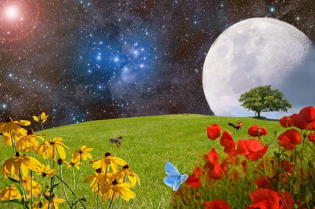 full-flower-moon-blossoming-field-small-2