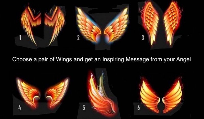 6-wings-blog-post_small