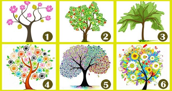 Select Your Favorite Tree To Find What Kind Of Person You Truly Are