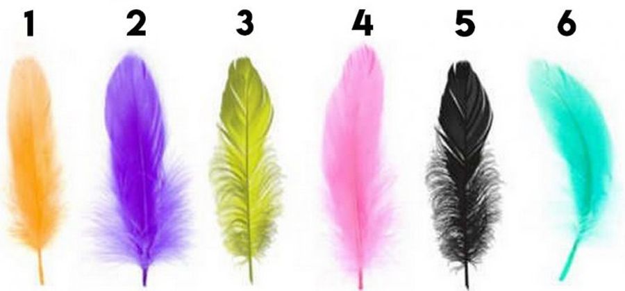 The Feather You Like The Most Reveals Your Secret Personality Trait!