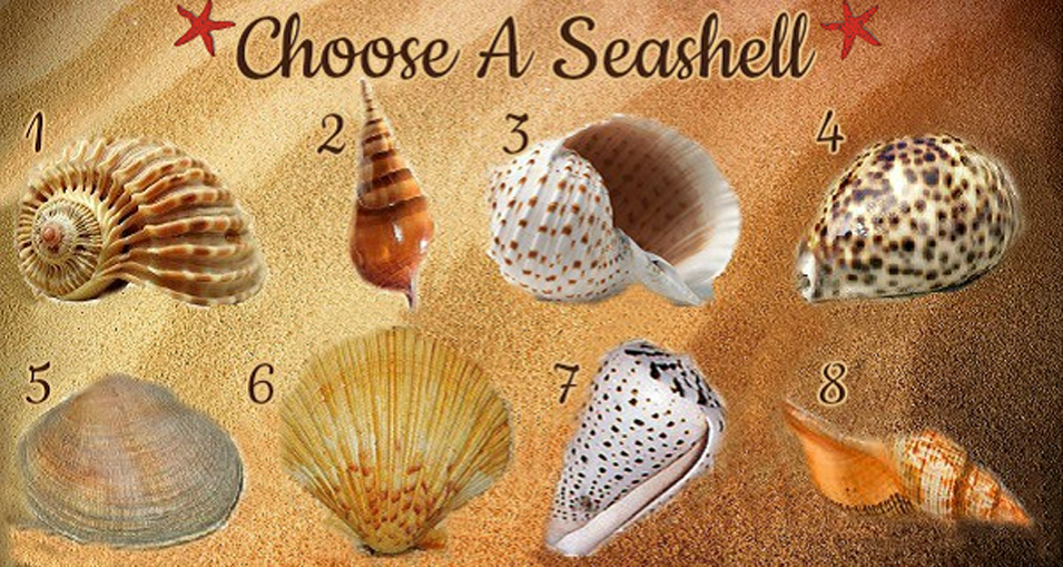 Select A Seashell And Uncover Your True Personality