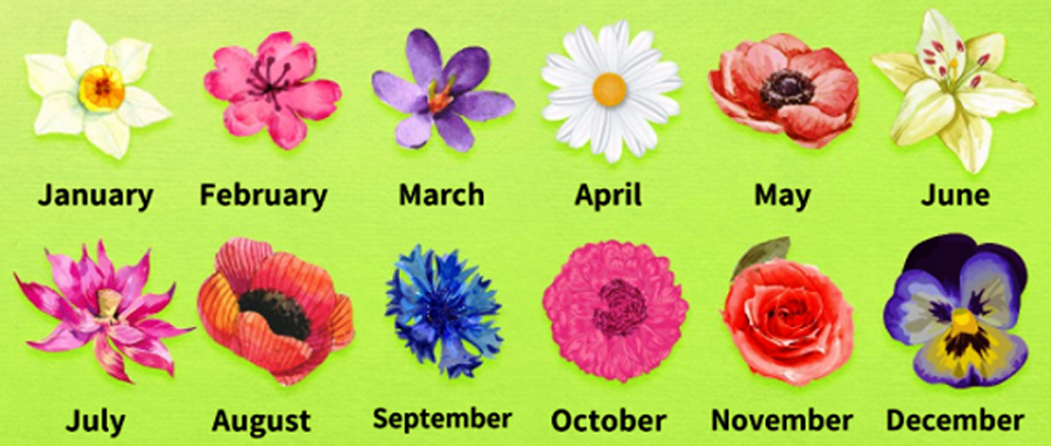 Personality Test, What Is Your Birth Flower?