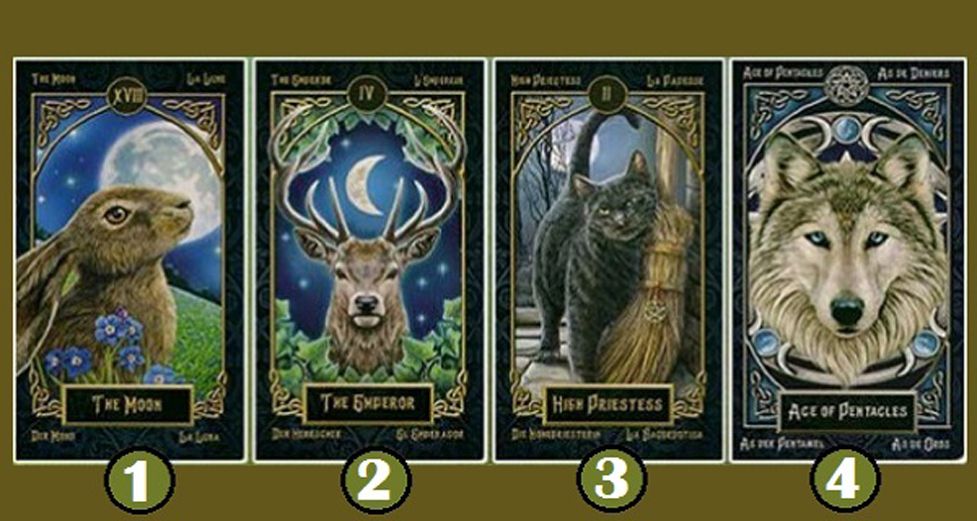 Discover More About Your Character With These Animal Cards