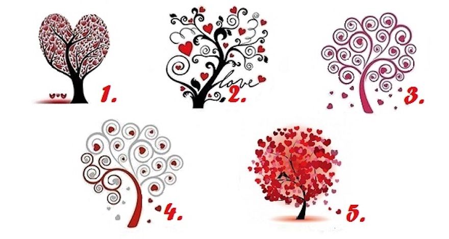 Find The Love Of Your Life By Selecting One Love Tree