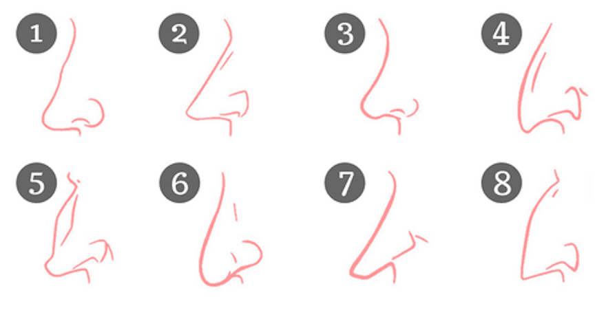The Shape Of Your Nose Reveals A Lot About Your Personality