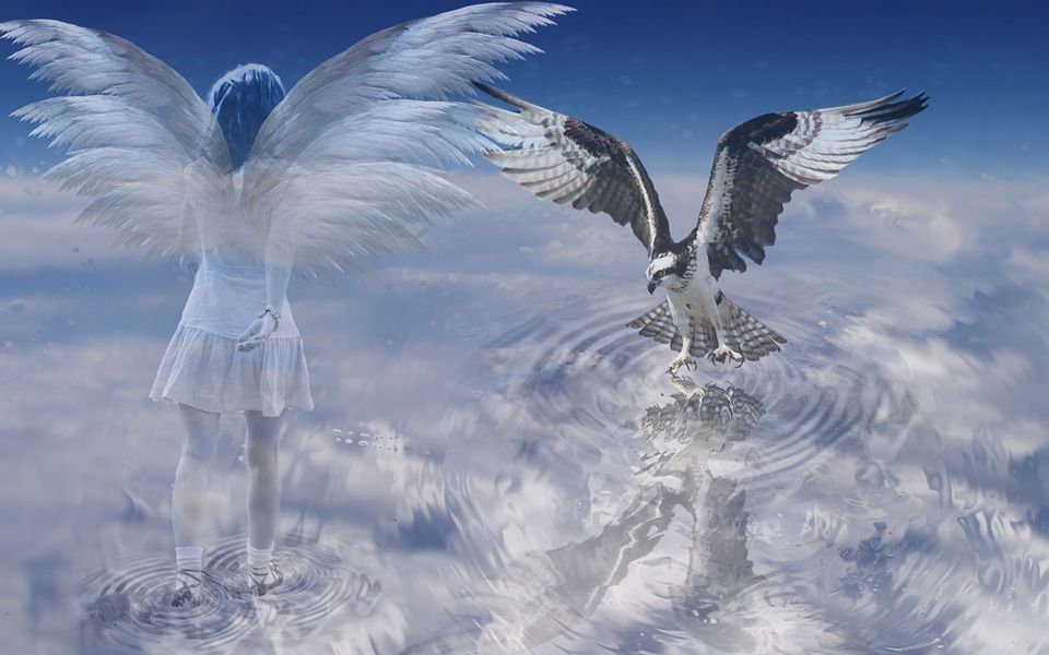 How to Talk to Angels, Spirit Guides and Your Celestial Team