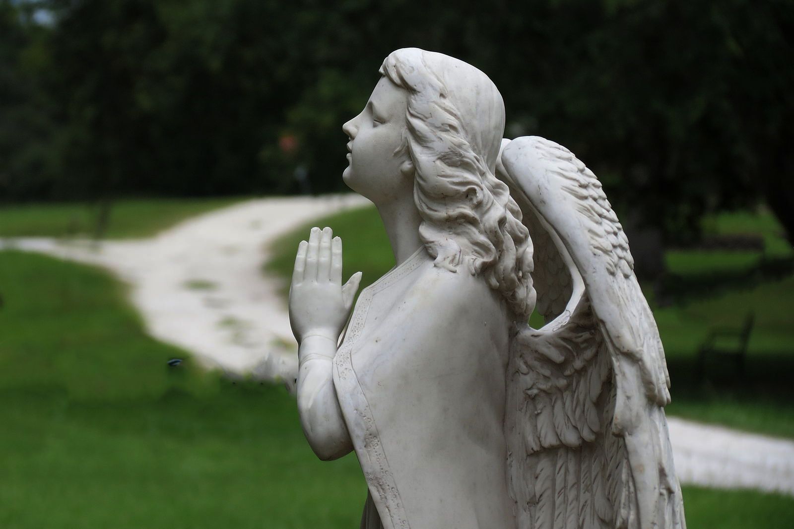 An Angelic Prayer of Gratitude