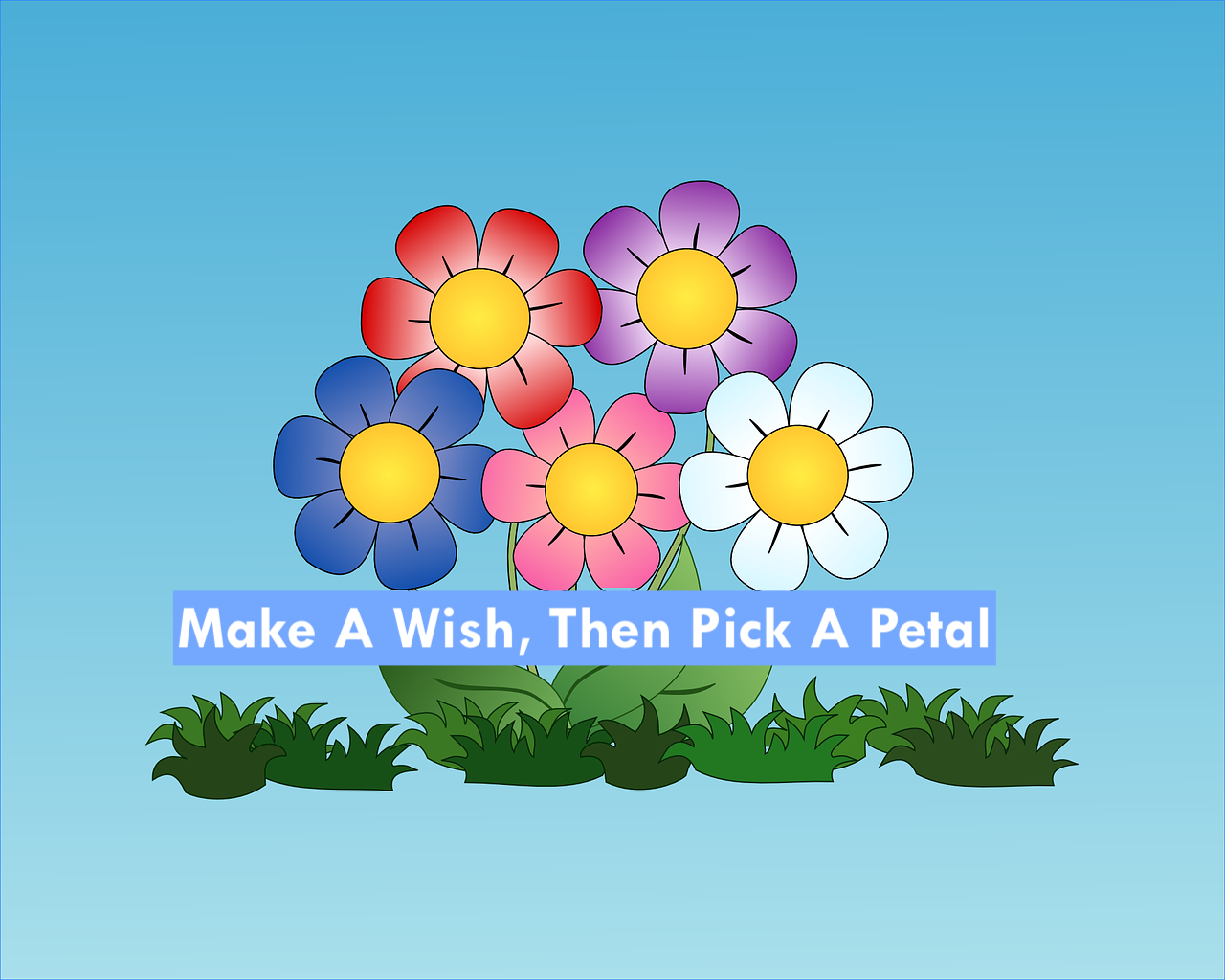 Make A Wish, Then Pick A Petal!