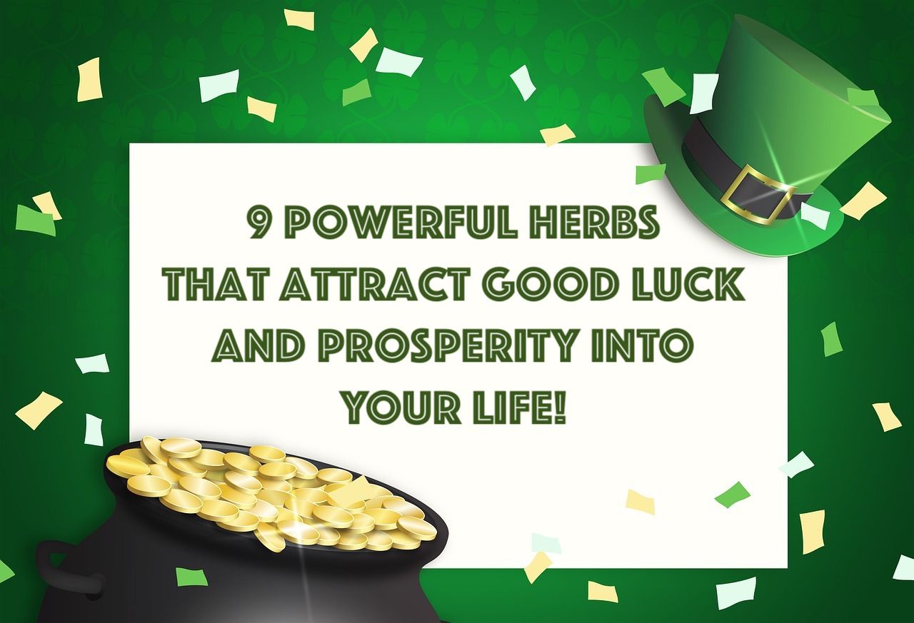 9 Powerful Herbs That Attract Good Fortune & Prosperity