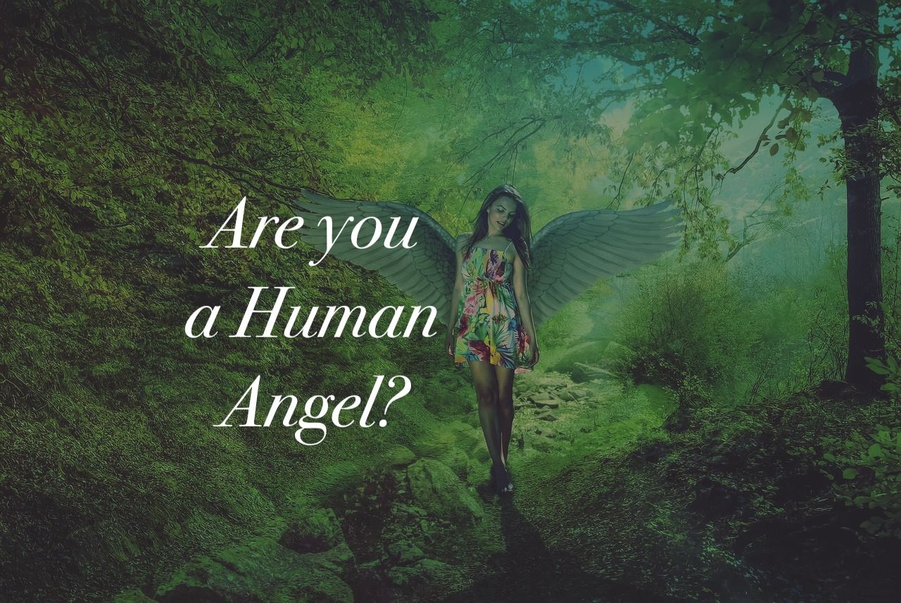 Are You a Human Angel?