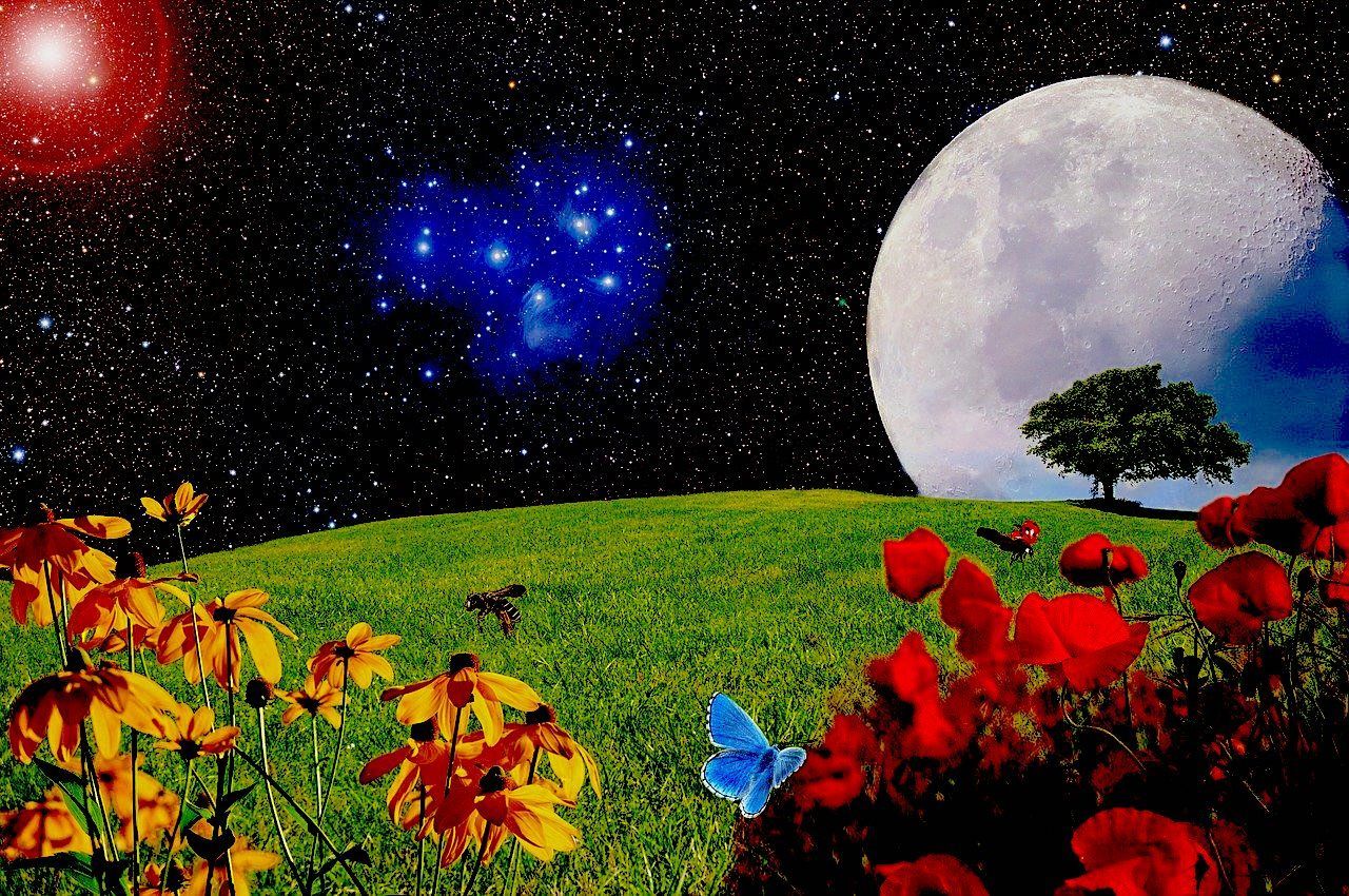 May 7 Full Flower Moon: The Supermoon that Makes Your Life Blossom!