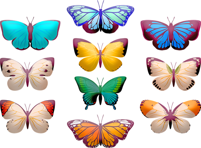 Wat is de betekenis van het zien van bepaalde gekleurde vlinders?
