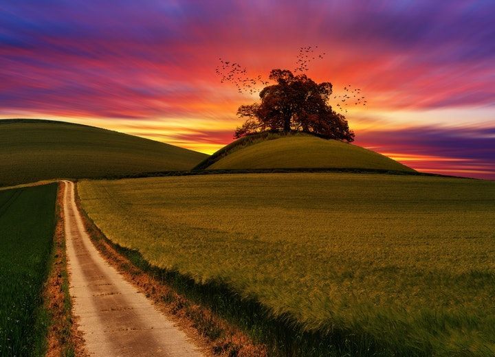 A gravel country road in a green field surrounded with red and orange sunrise light