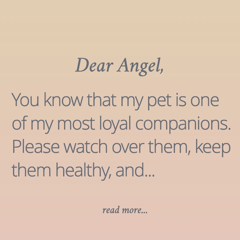 An Angelic Prayer for The Blessing and Protection of Pets