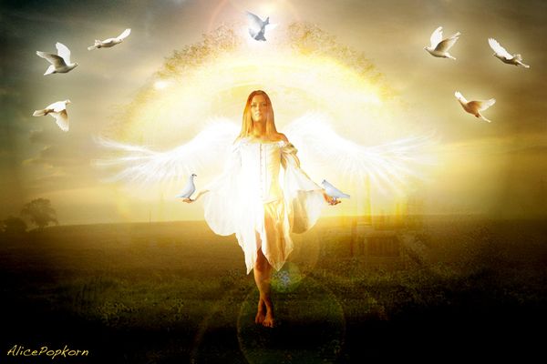 5 Essential Keys to Communicate with your Angels