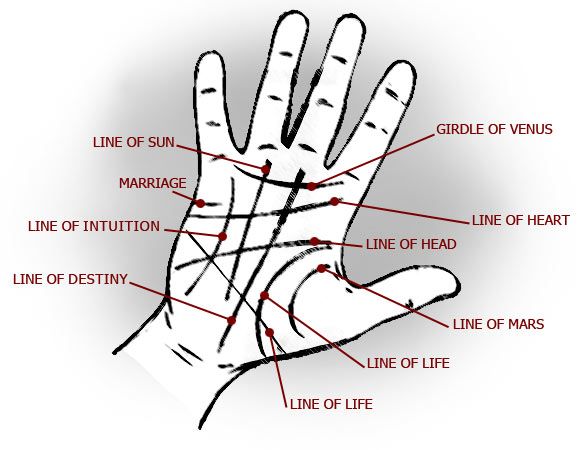 What Do the Lines on Your Palm Mean?