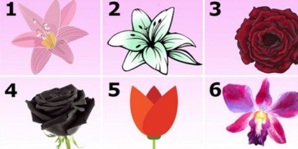 Pick the Most Beautiful Flower and Learn an Astounding Secret About Your Personality