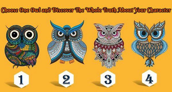 Discover The Whole Truth About Your Character From These Four Lovely Owls