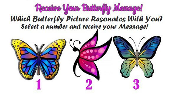 Receive a Beautiful Butterfly Message!