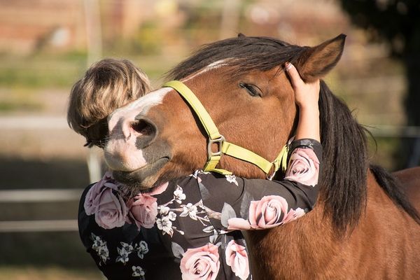 Hugging is The Most Beautiful Form Of Communication