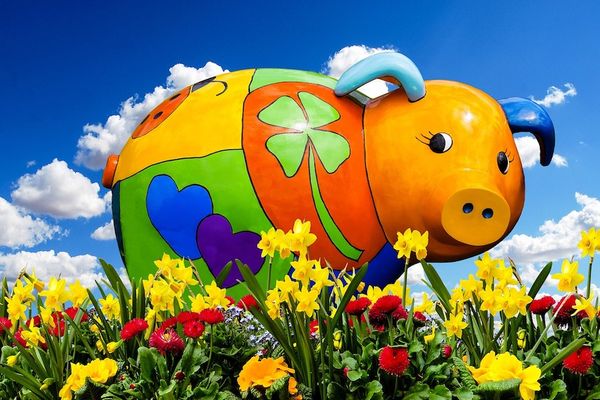 Chinese Horoscope 2019 – Year of the Earth Pig