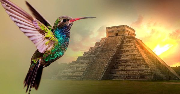 The Mayan Legend of the Hummingbird that Will Definitely Melt Your Heart