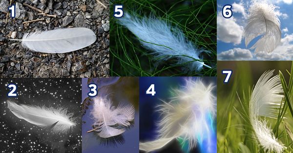 Pick an Angel Feather and Receive an Inspiring Message