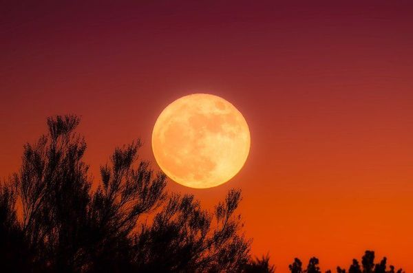 Full Harvest Moon September 20, 2021: Time to Gather Love!