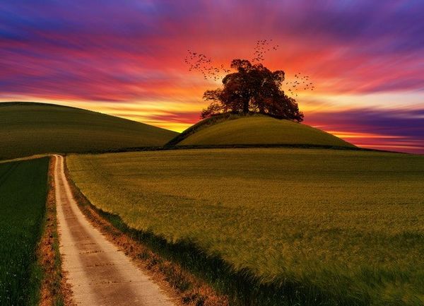 A gravel country road in a green field surrounded with red and orange sunrise light
