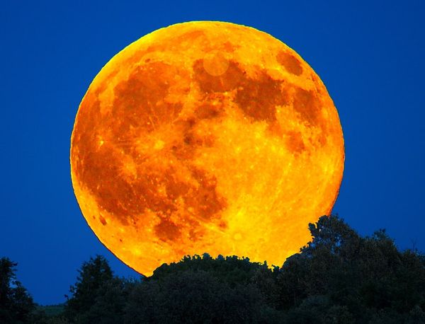 A full red moon rising over trees in a clear blue sky