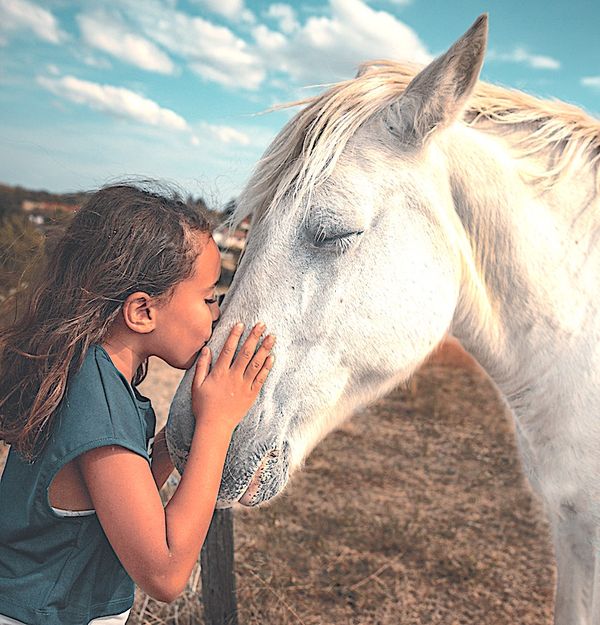 A little girl hugging and kissing a white horses nose. The horse has eyes shut and looks happy