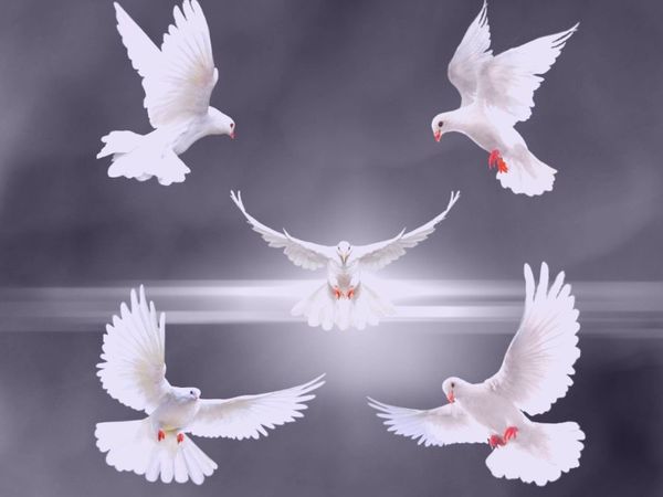 5 Important Signs from Angels and their Meaning