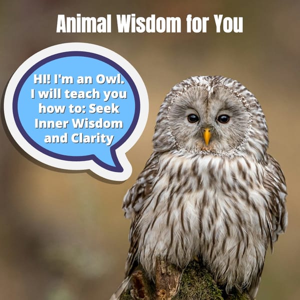 Animal Wisdom: 5 Powerful Lessons to Boost Your Daily Well-being